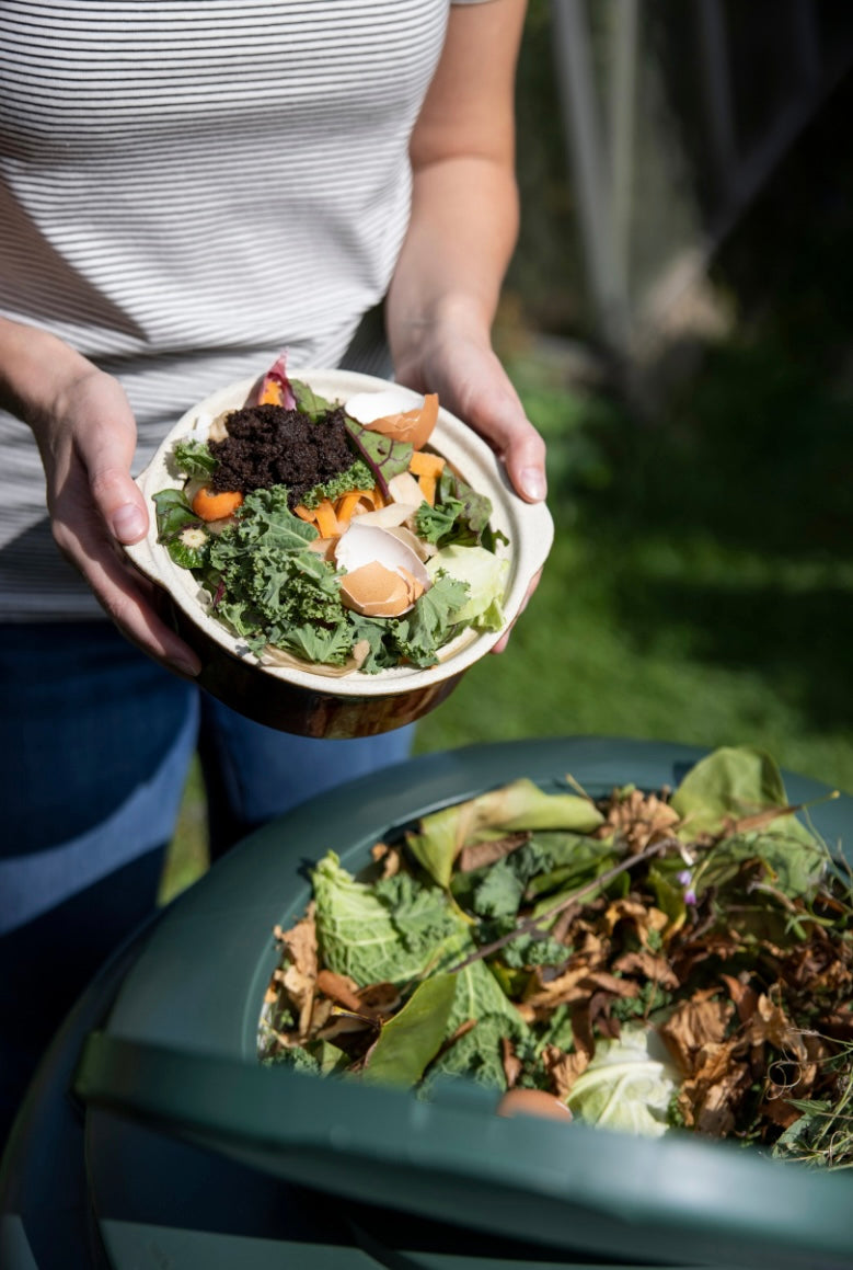 Composting 101: Transforming Food Scraps into Garden Gold